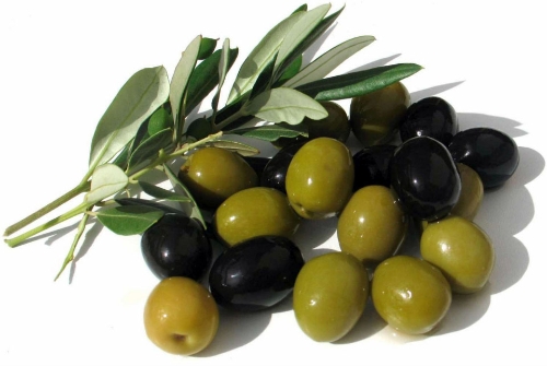 Türkiye'nin zeytin üretiminin yüzde 14'ü Manisa'da yapılıyor