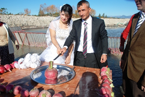 Turp işçilerinden turp gibi düğün