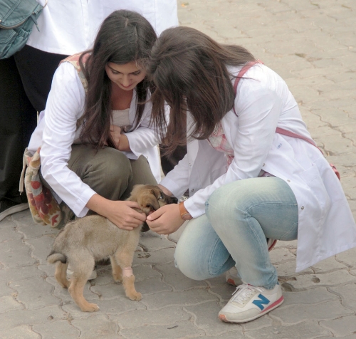 Üniversite öğrencileri hayvan barınağını ziyaret etti