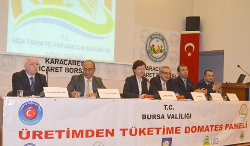 UYMSİB Başkanı Dr. Çalı: Domatesi, kuru ihraç etmenin yolları aranmalı