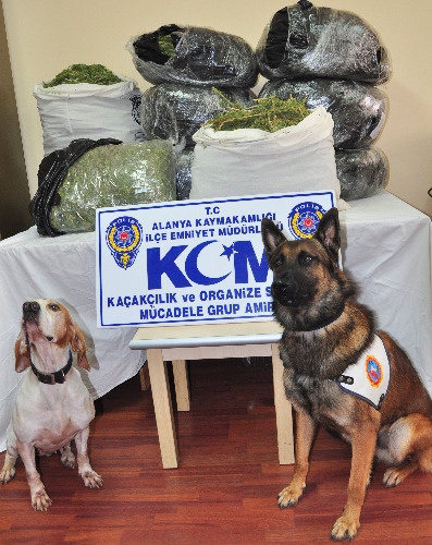 Uyuşturucu tacirleri polisi görünce otomobili bırakıp kaçtı