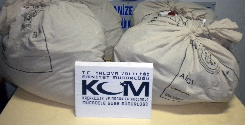 Yalova'da uyuşturucu operasyonu