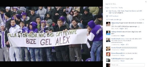 Yıllık 4 ton fındık bize gel Aleks