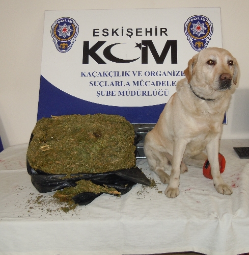 Yolcu otobüsünde taşıdığı esrar narkotik köpeğine takıldı