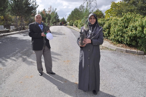 Yozgat Orman İşletmesi, mezarlıklarda 10 bin fidan dağıttı