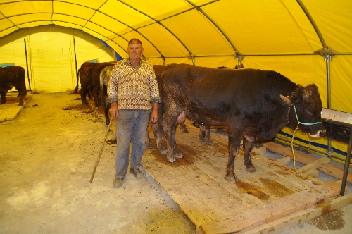 Yozgat'ta kurban pazarı kuruldu