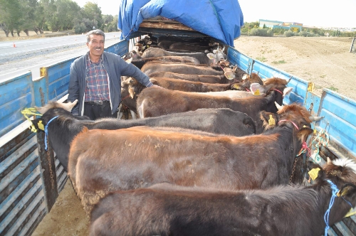 Yozgat'ta kurbanlık sevkiyatlarına yönelik denetimler artırıldı