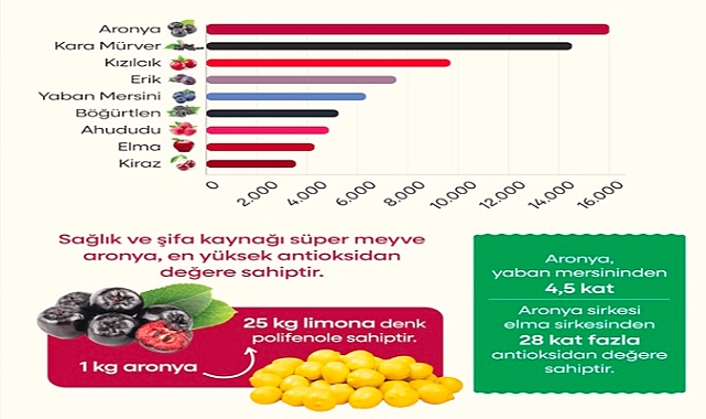Aronya Meyvesi Faydaları Nelerdir